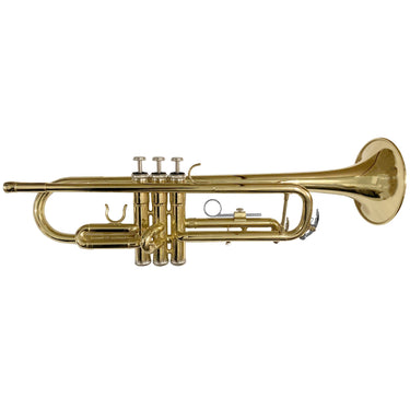 Trompeta Fanpro Laca Dorada, Trbbgold